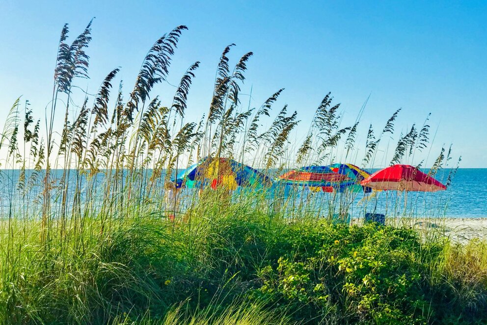 Umbrellas on beach